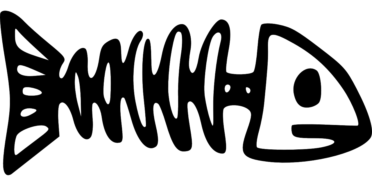 Fishbones Measureology